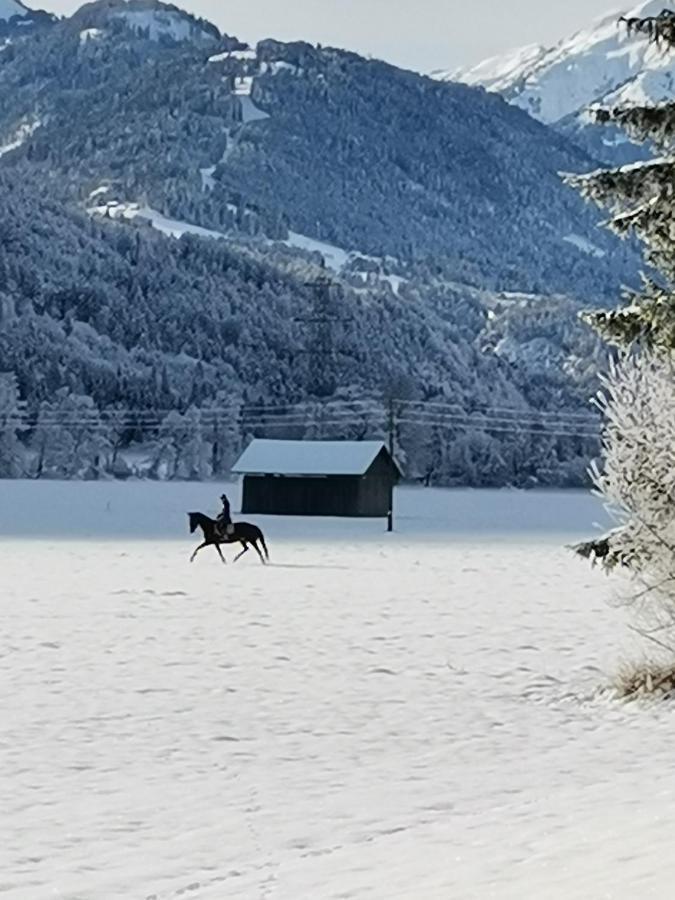 Landhaus Marie Hermagor-Pressegger See Bagian luar foto